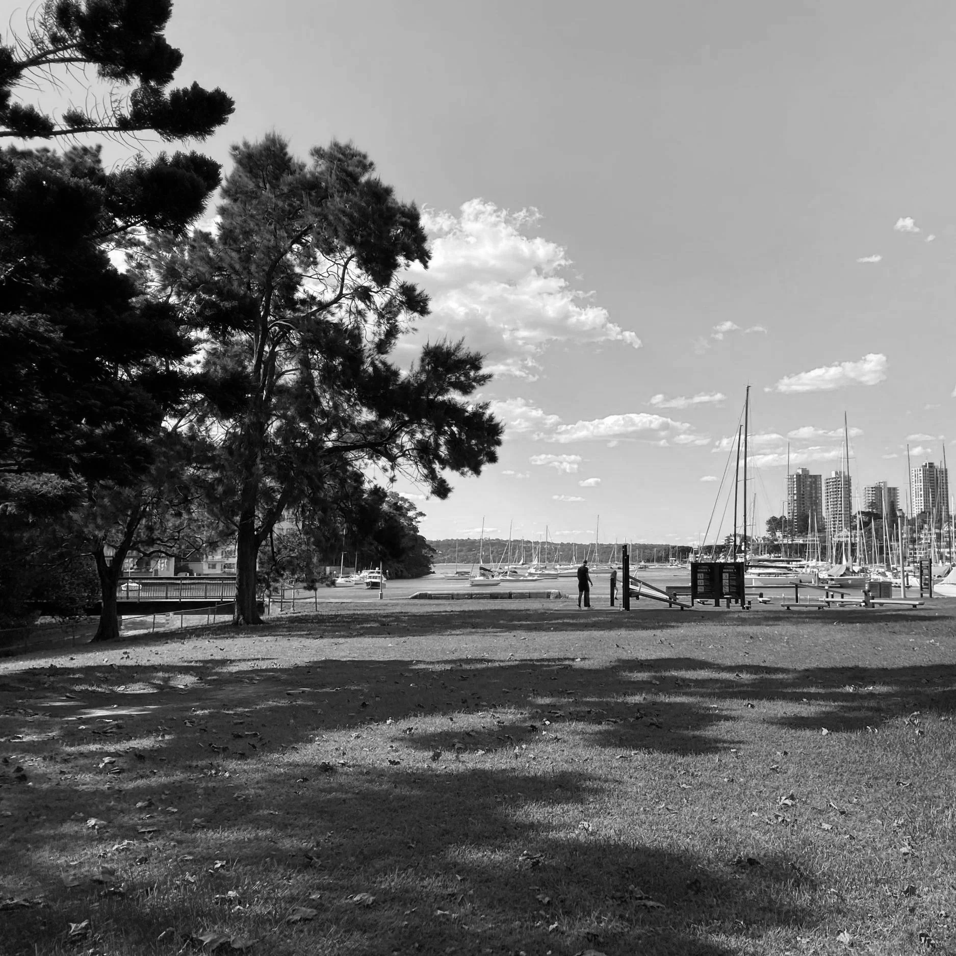 Rushcutters Bay Park, Rushcutters Bay