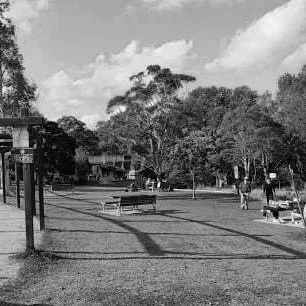 Whites Creek Valley Park, Annandale