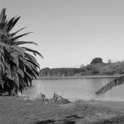 Scarborough Park, Kograh