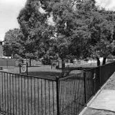 Campsie Off Leash Area