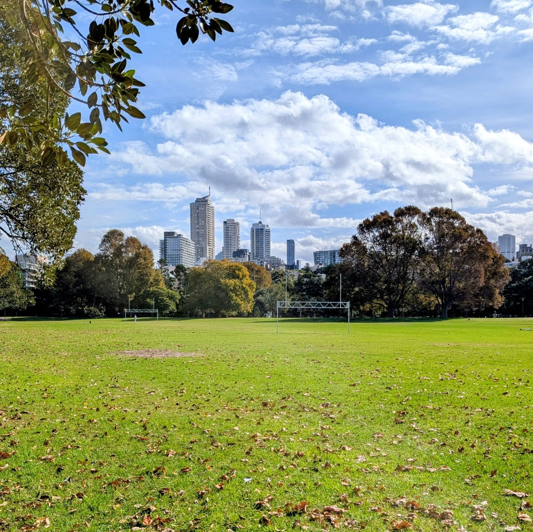Rushcutters Bay Park