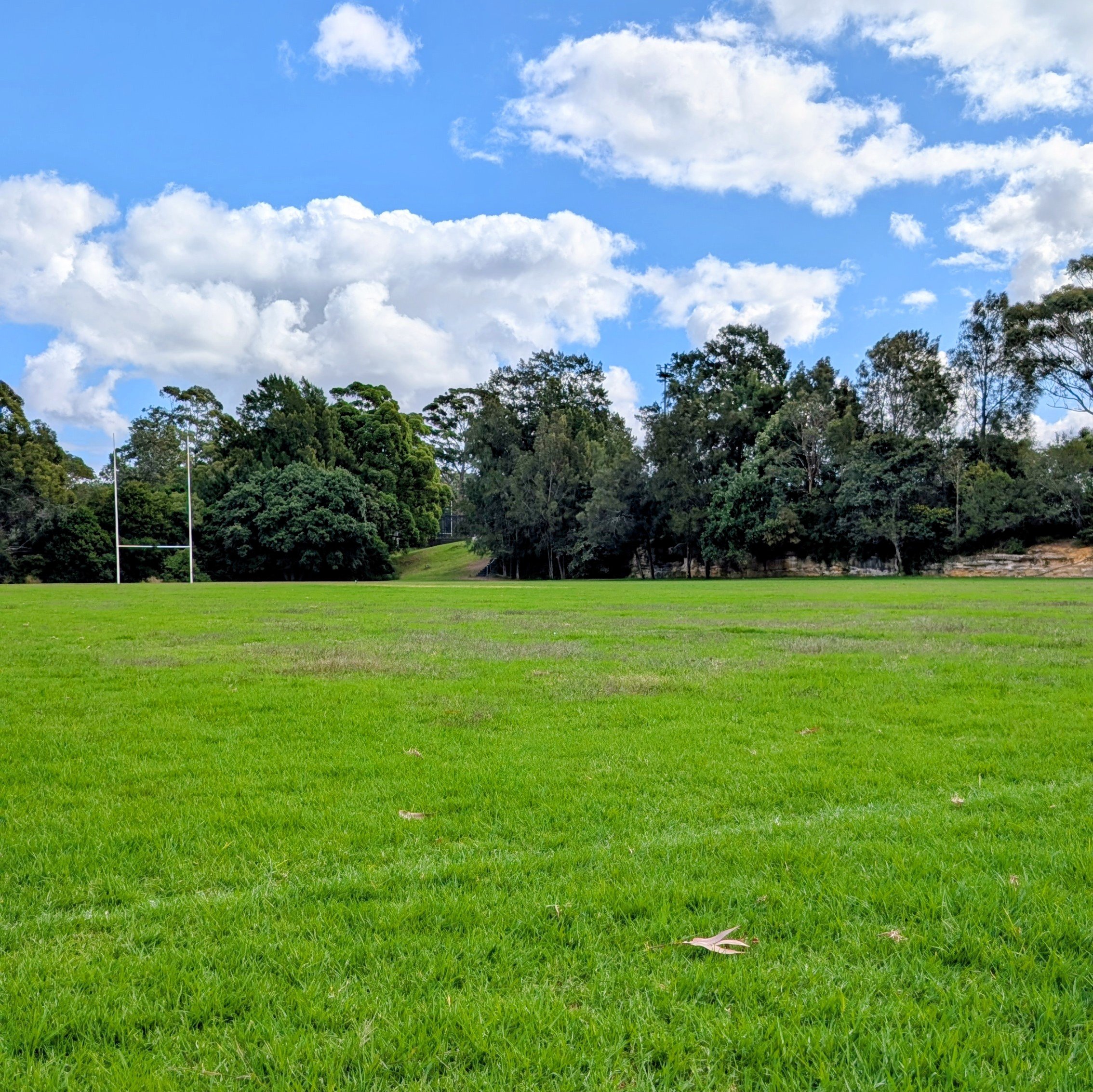 Boronia Park Reserve