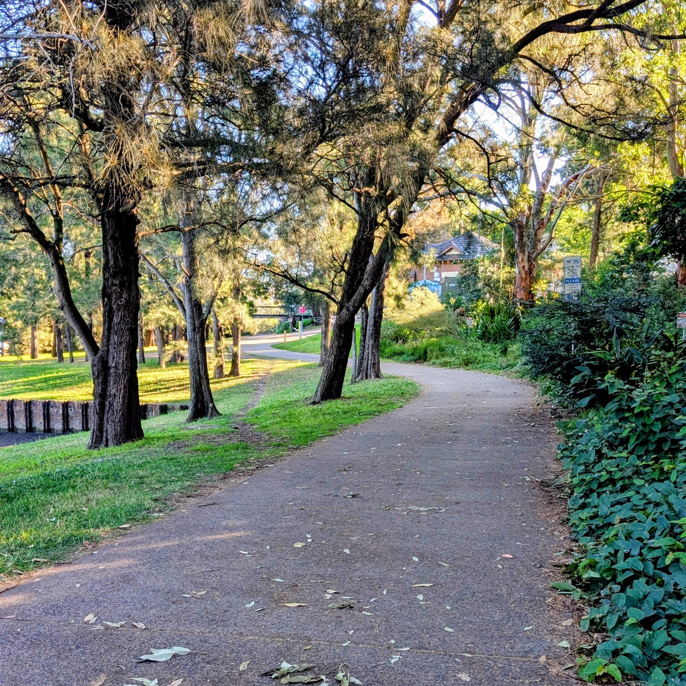 Leslie Muir Reserve