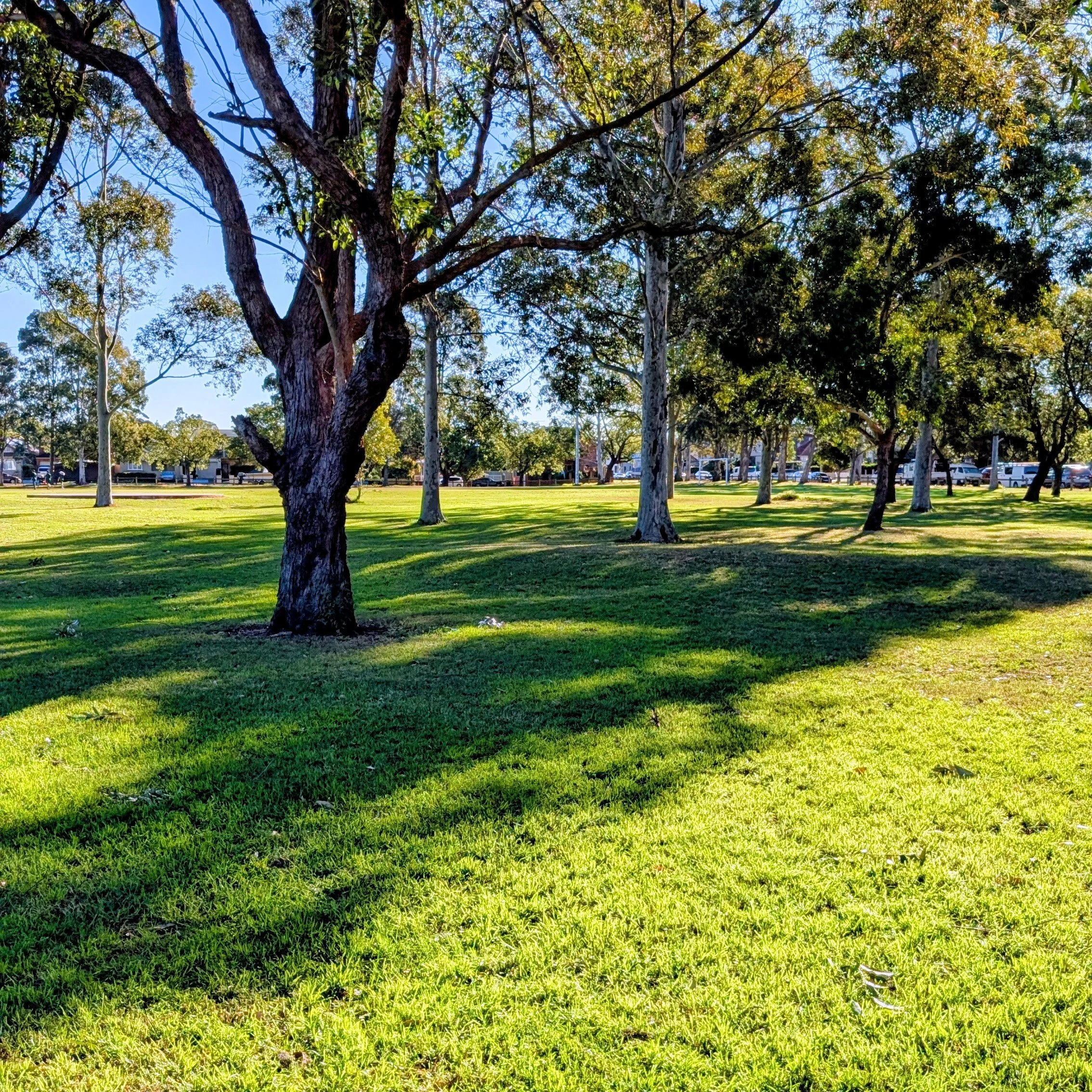 Rosedale Reserve