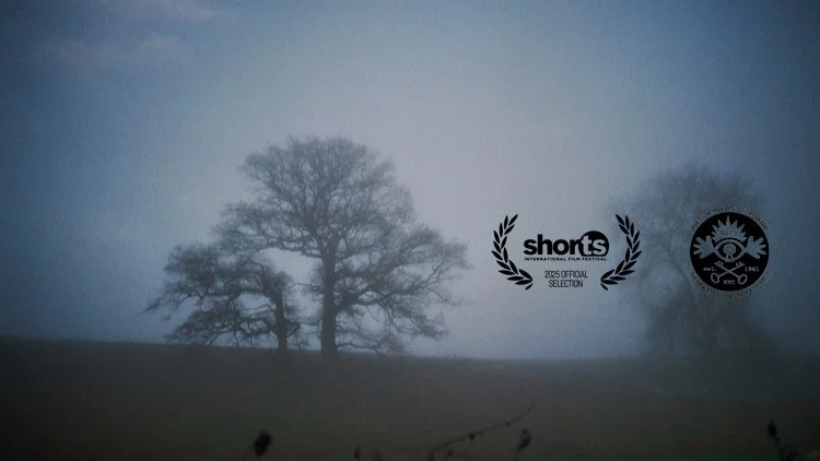 shorts3.jpg