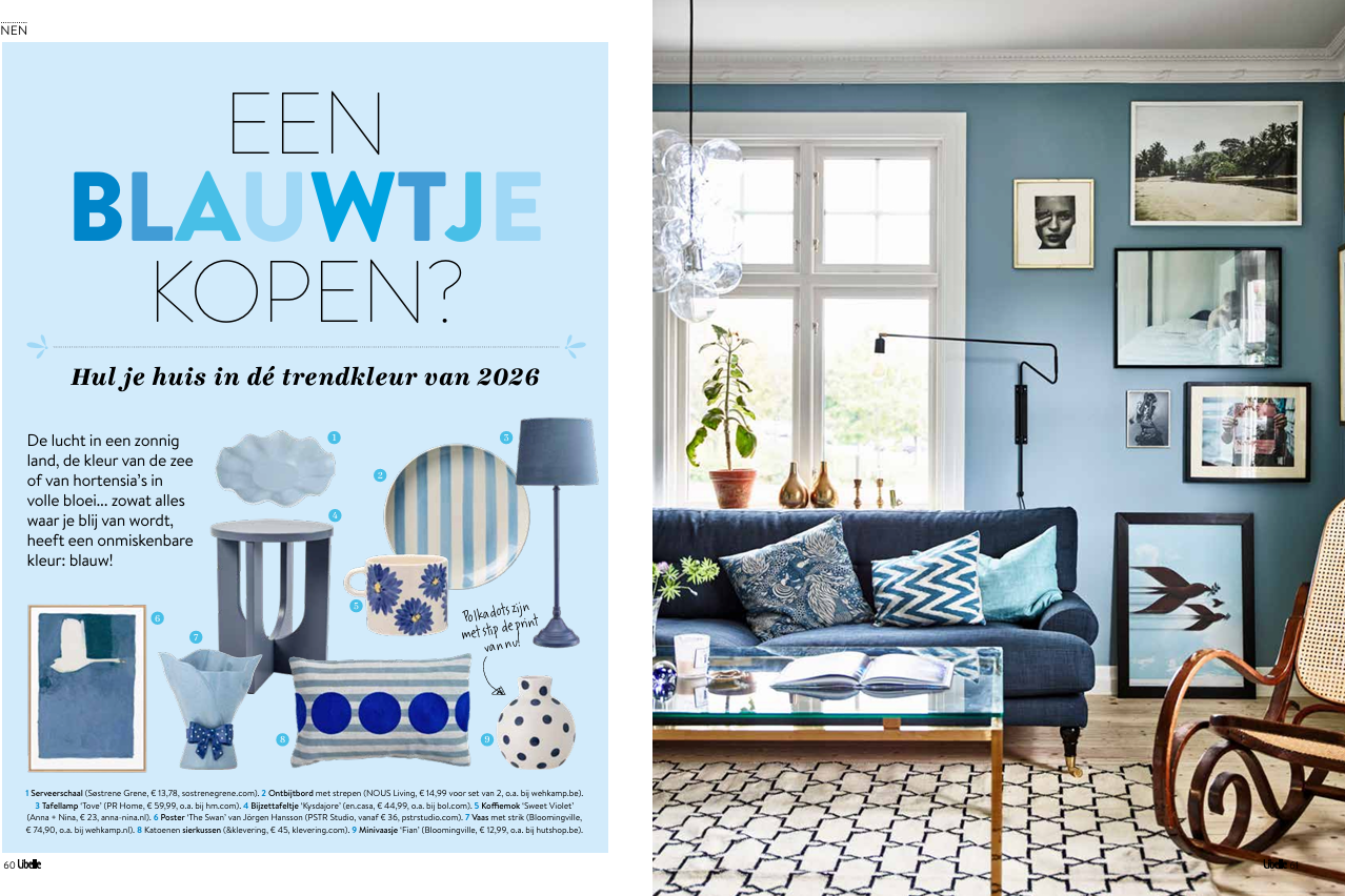 Libelle - Een blauwtje kopen