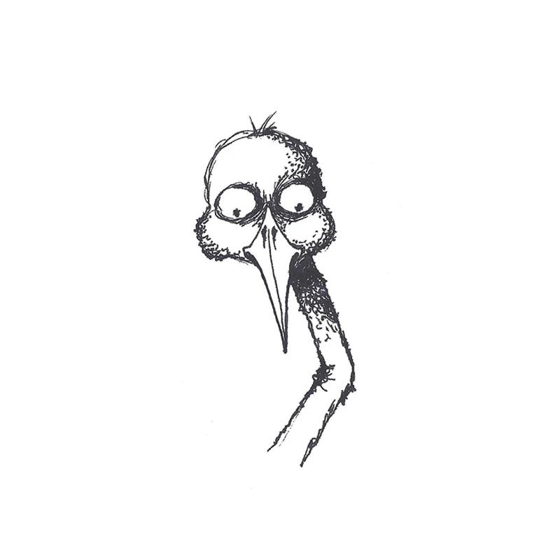bird.JPG