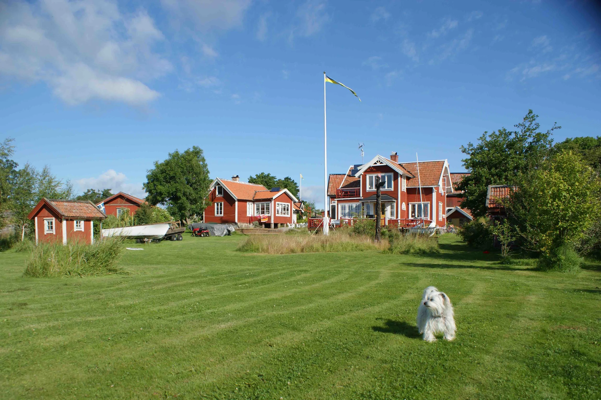 Ozzy tar emot på gräsmattan....