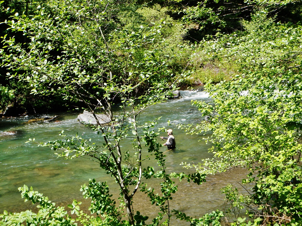 Opening Weekend McCloud River
