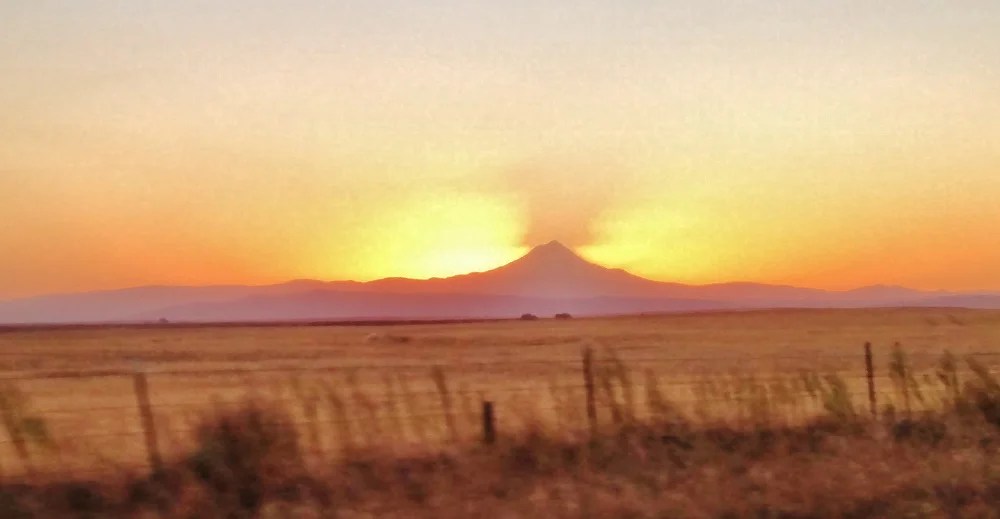Amazing Things You See On Road Trips