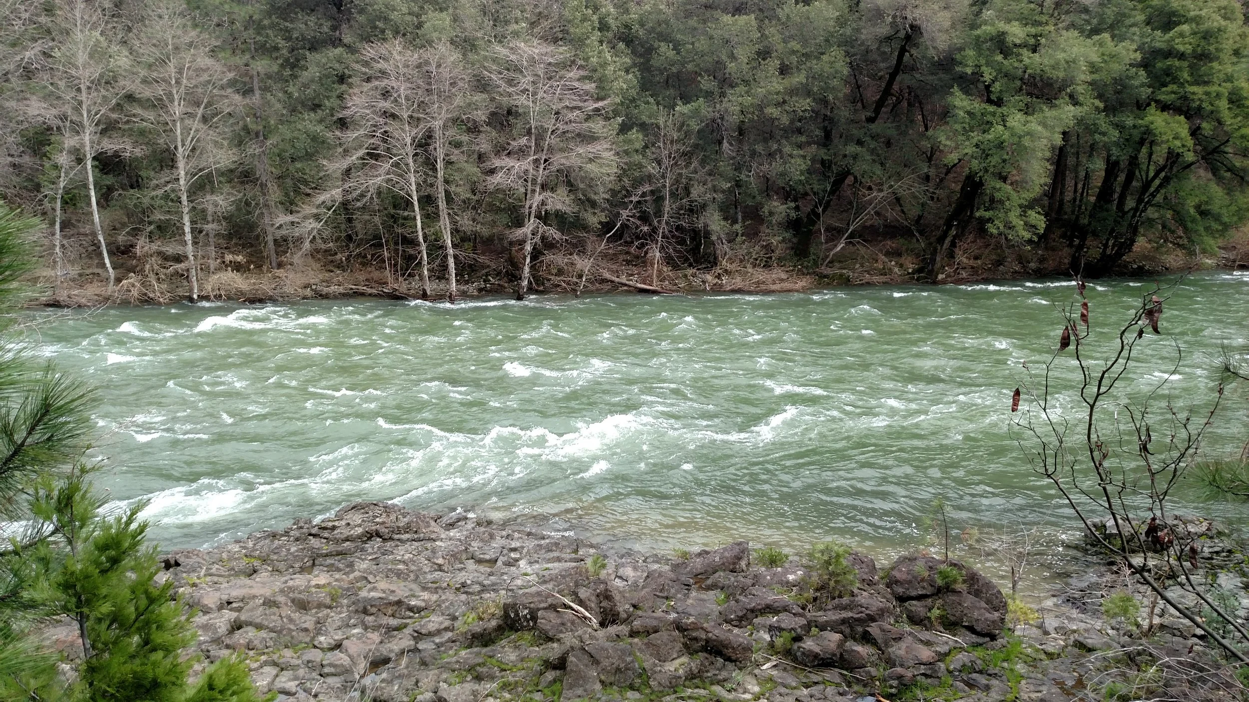 Upper Sac Is A Beast At 5000cfs