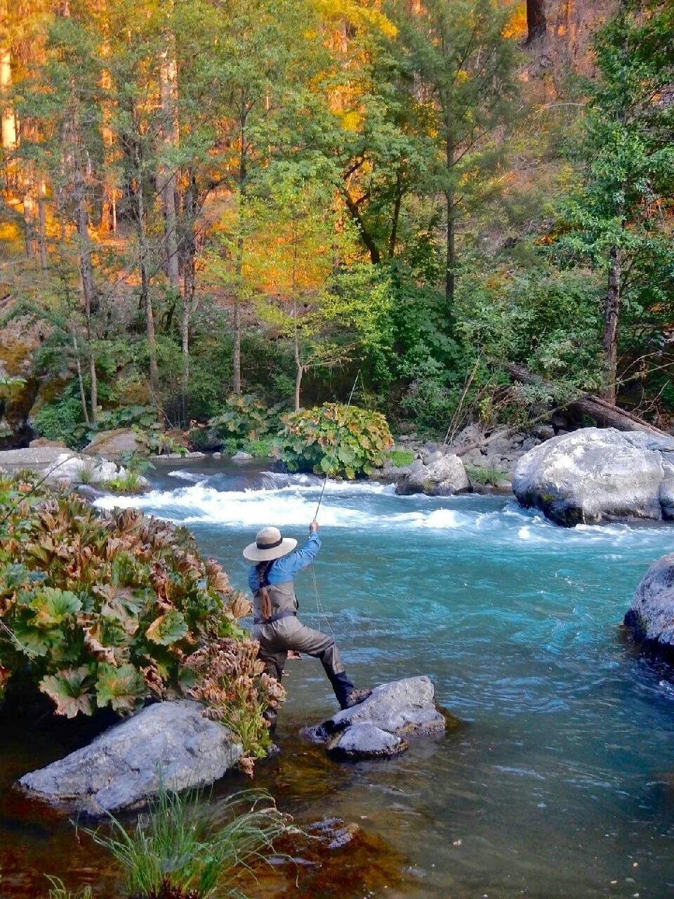 McCloud River Photo by John Rickard