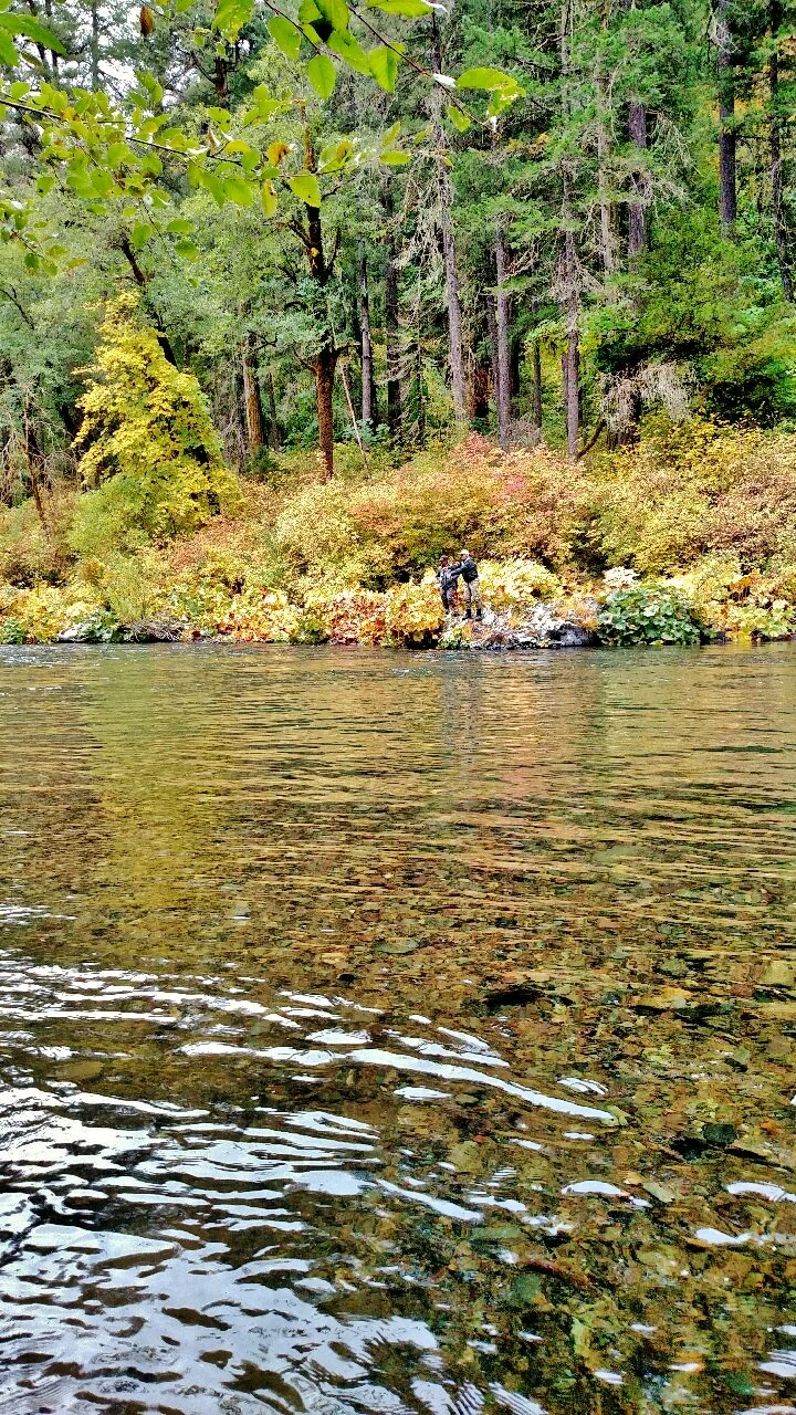 McCloud River Photo by Rick Cox