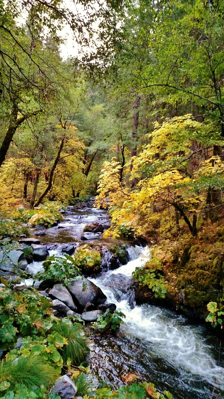 Squaw Creek Photo by Rick Cox