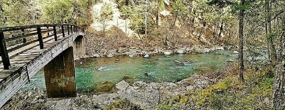 McCloud River Ash Camp Photo by Rick Cox