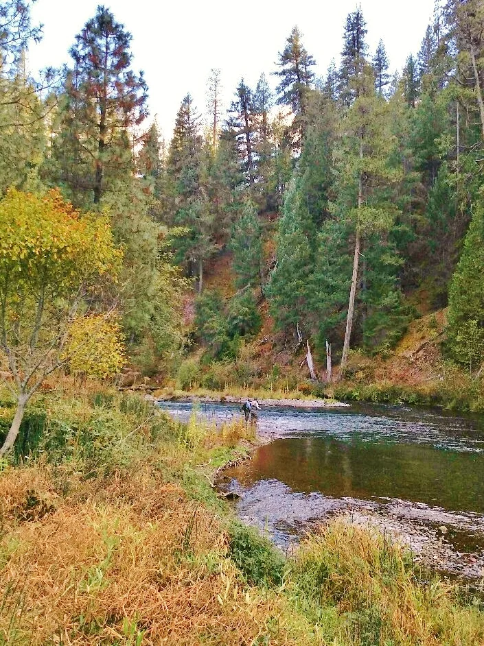 McCloud Fall Photo by Rick Cox