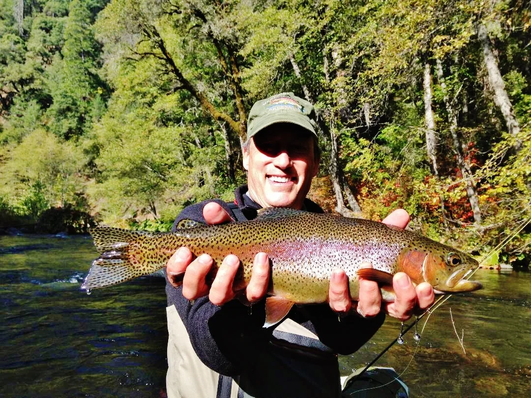 McCloud Bow Photo by Edward Boyd