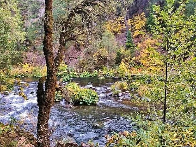 MCCloud Fall.jpg