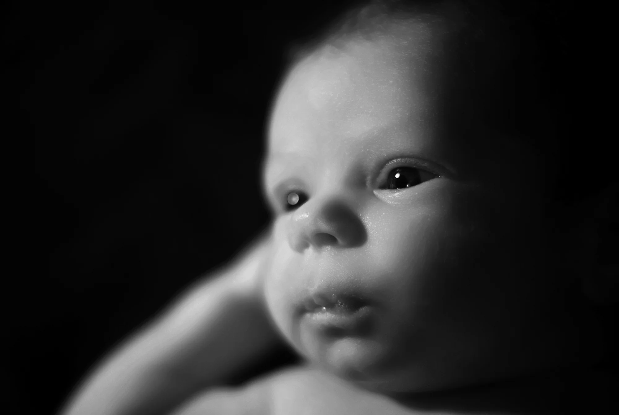 Newborn portrait