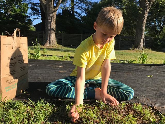 #Weeding before 8 in the #morning on the last day school. In pajamas.