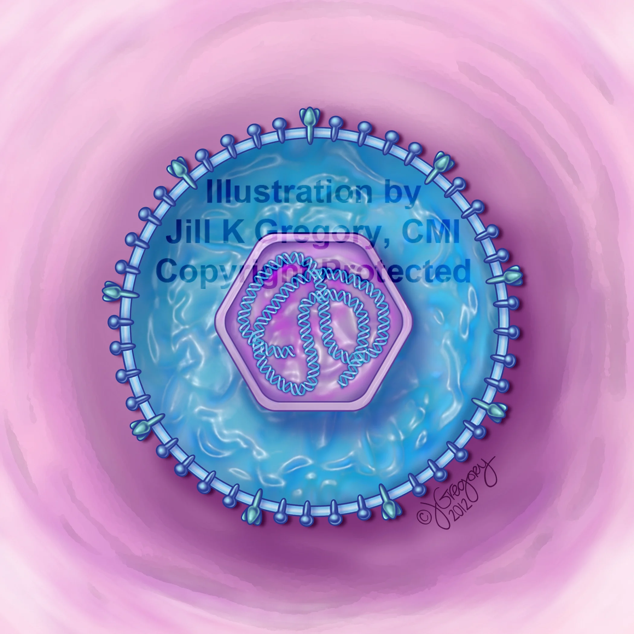 Virus Structure