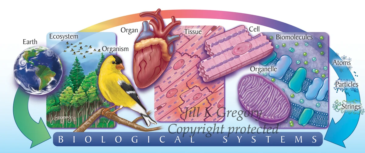 systems3.jpg
