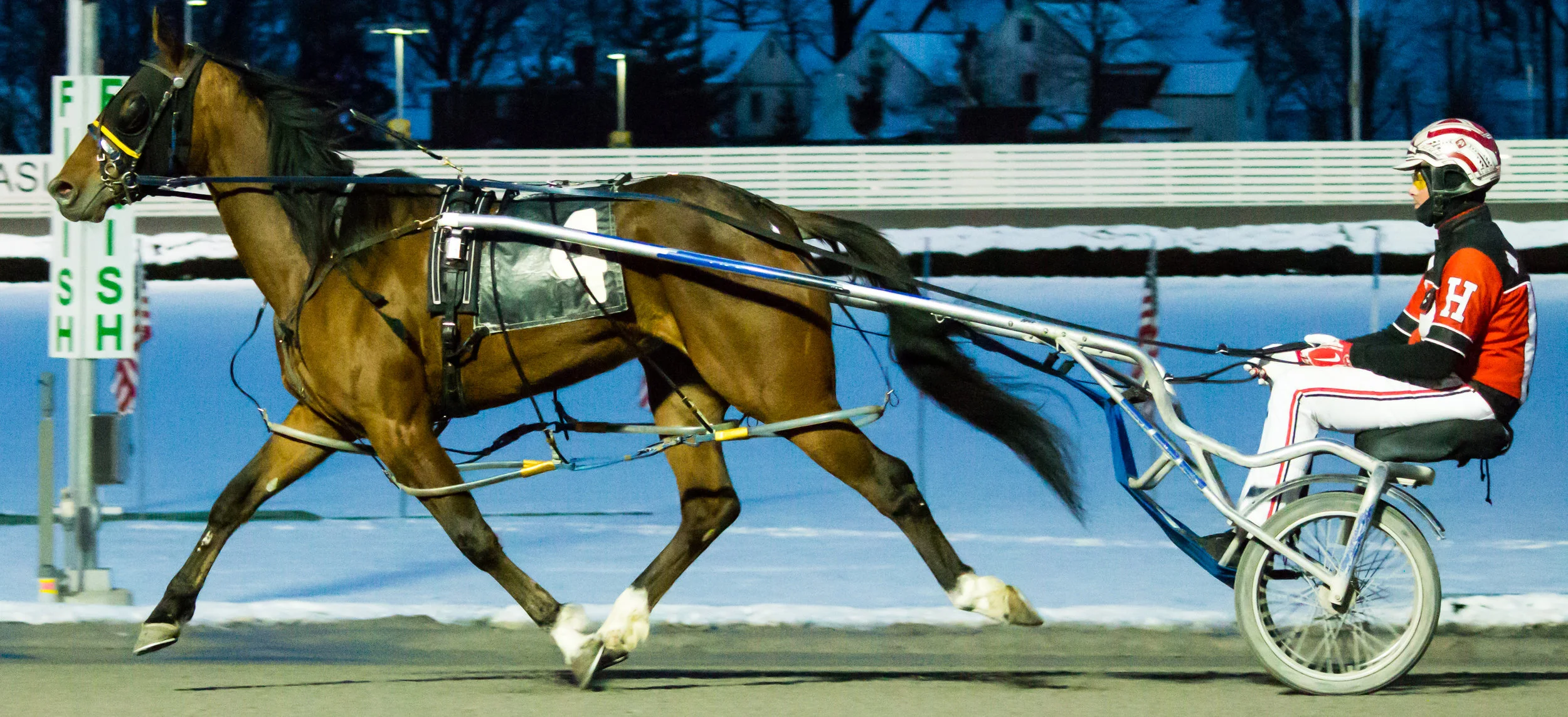 Yonkers_Raceway_Photo (4 of 7).jpg