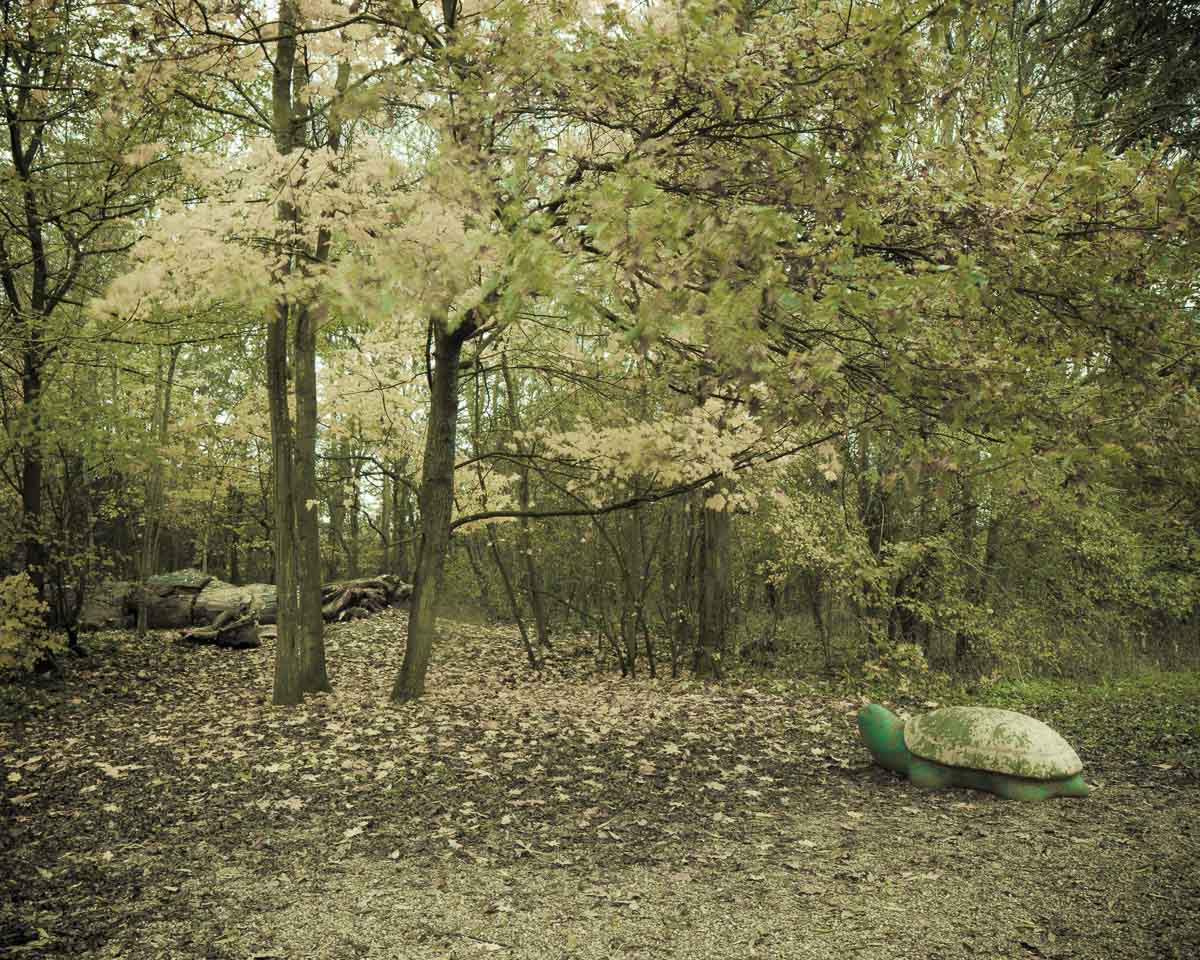 Lieux abandonnés - le bon chemin - tortue dans les bois