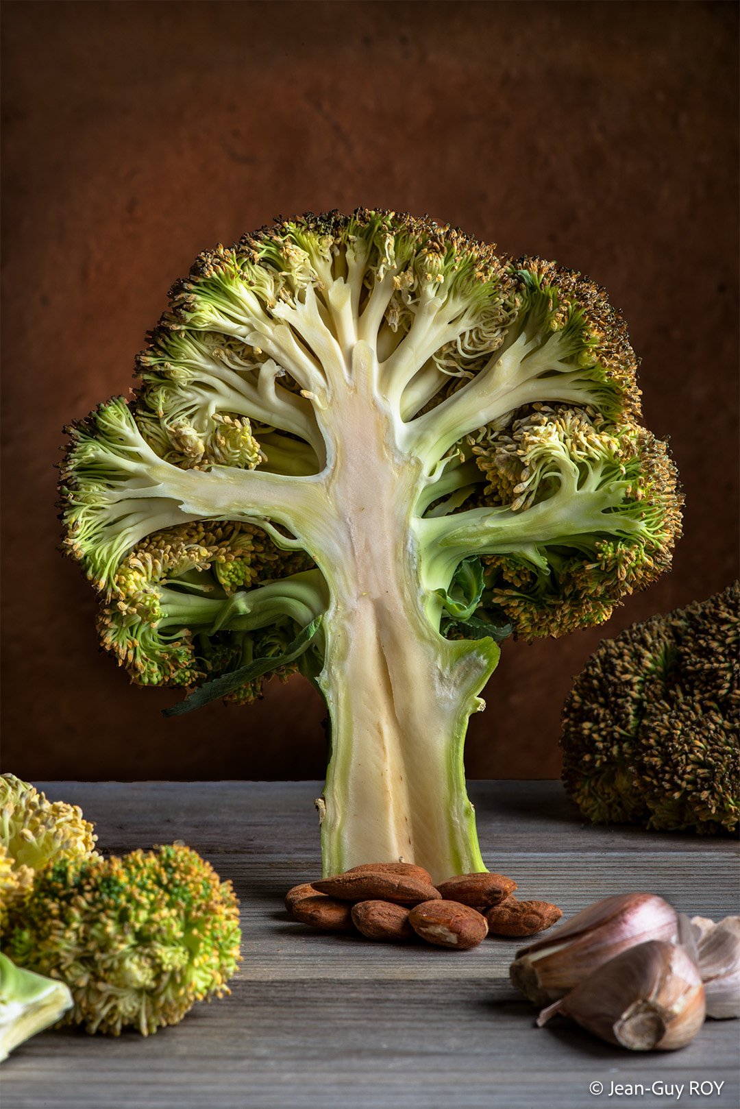 Brocoli-arbre
