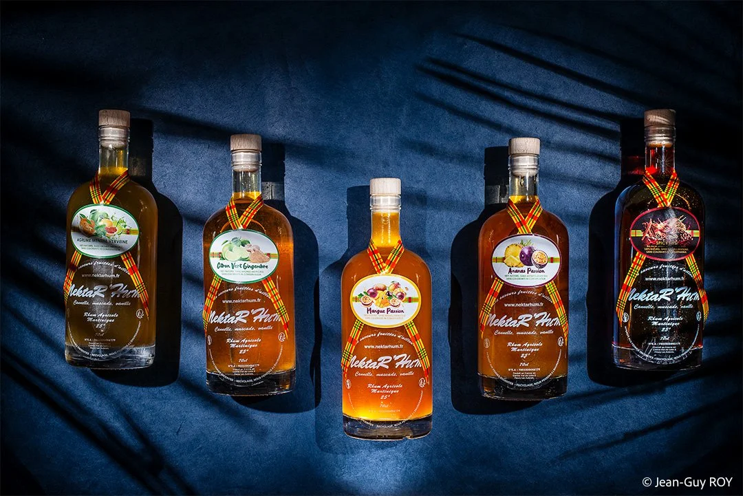 Les couleurs tropicales sur fond bleu océan