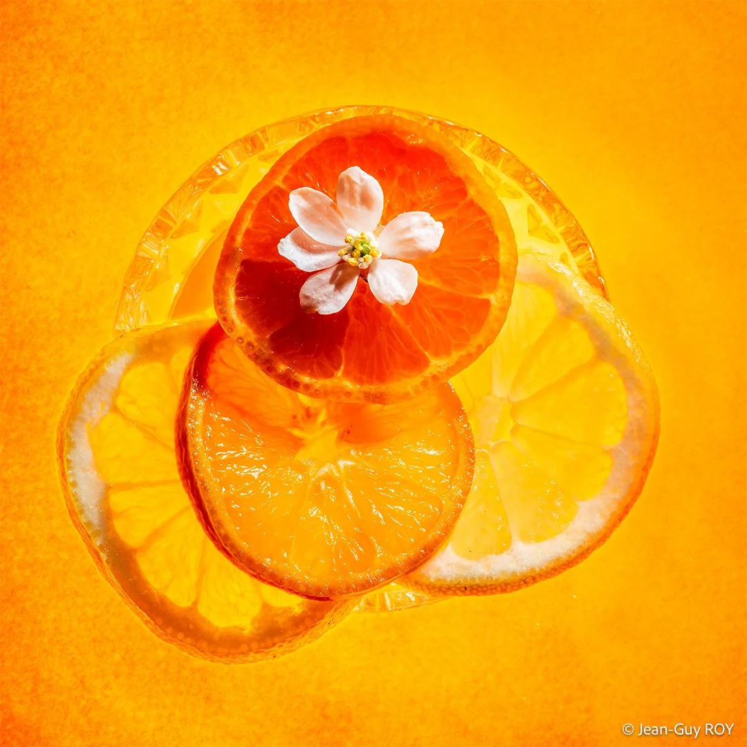 CITRON-CLEM-ORANGER-9848-2.jpg