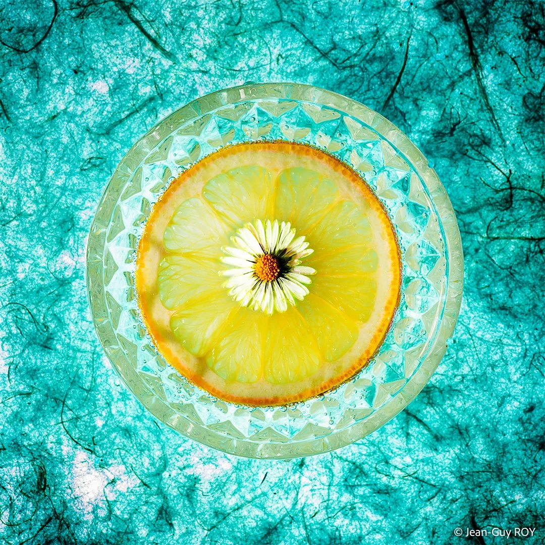 CITRON-MARGUERITE-9730-2.jpg