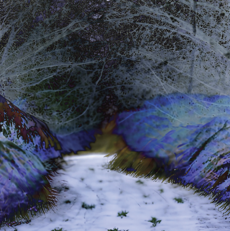 Silent Spring Redux P2