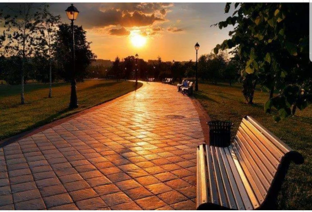 pathway to sunshine.jpg