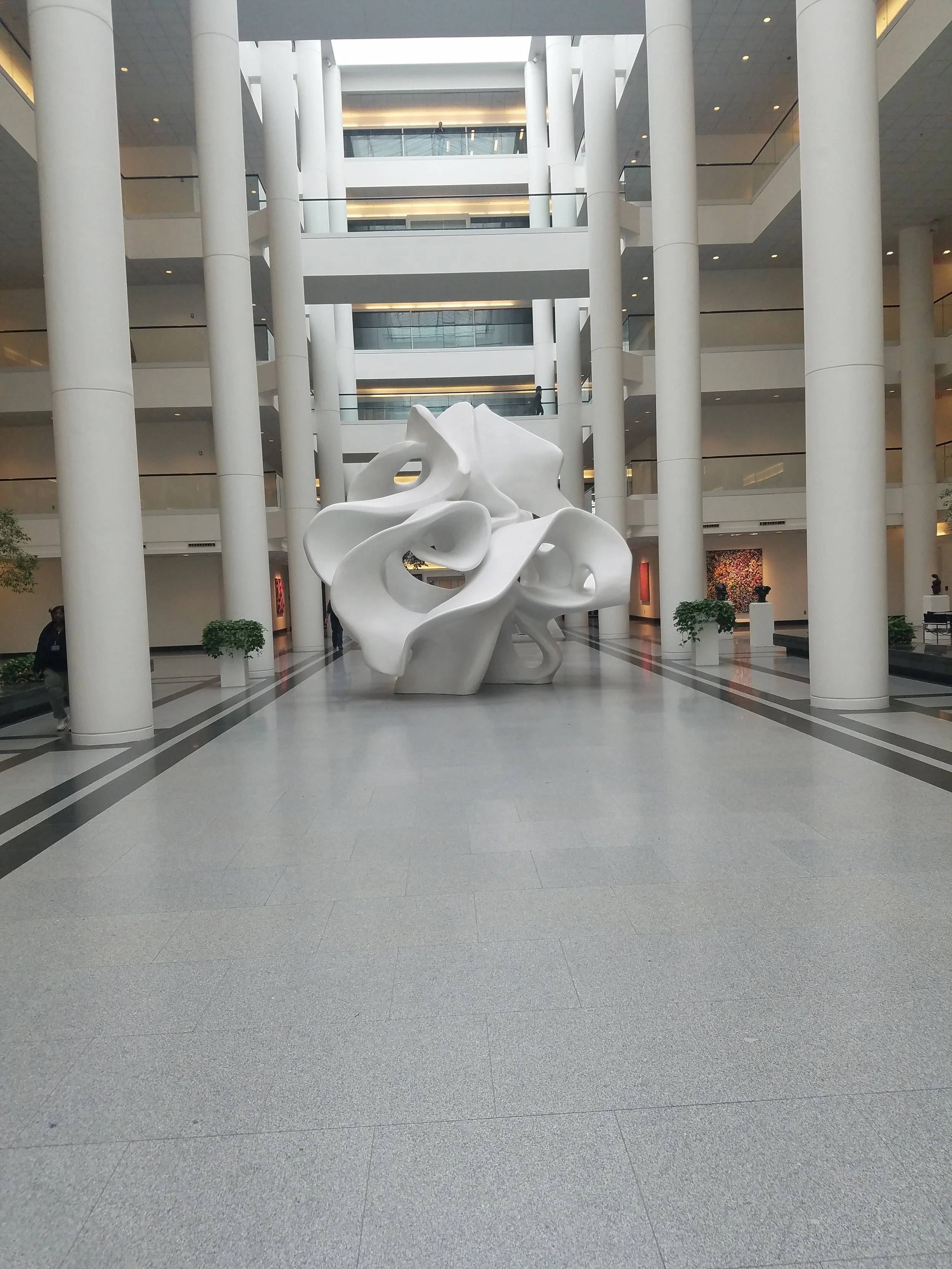 20180206_114843.jpg