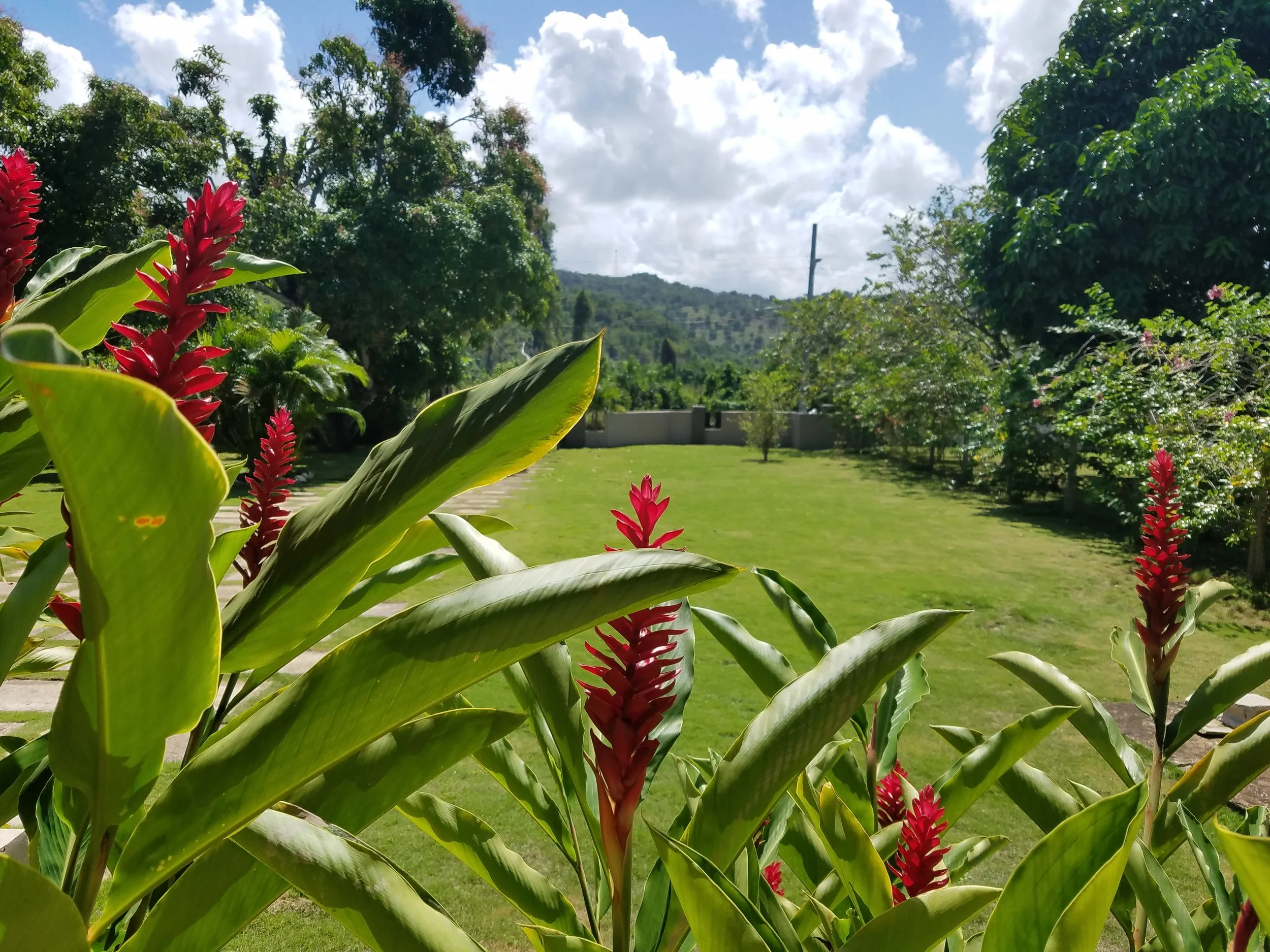 Jamaica