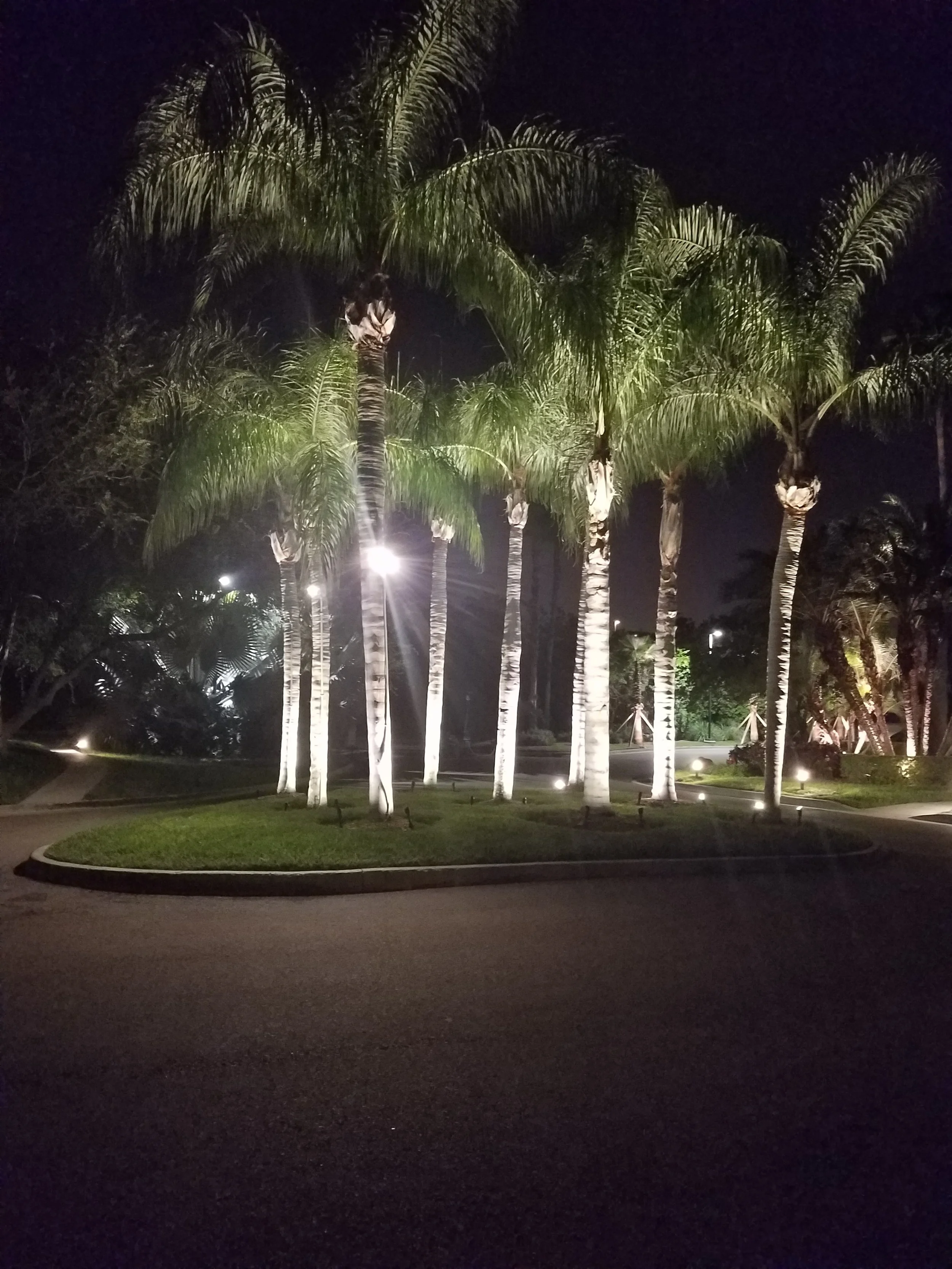 20170714_231455.jpg
