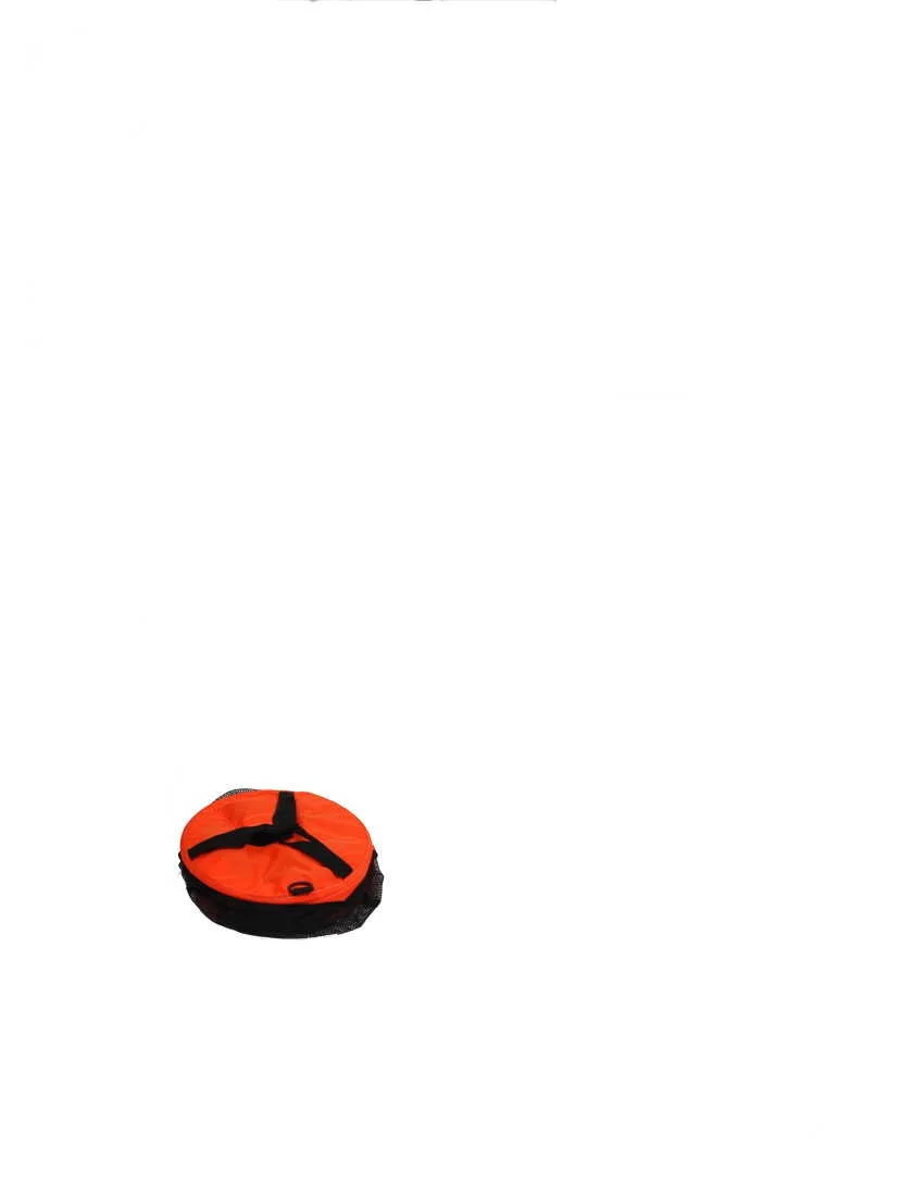 flat bag.jpg