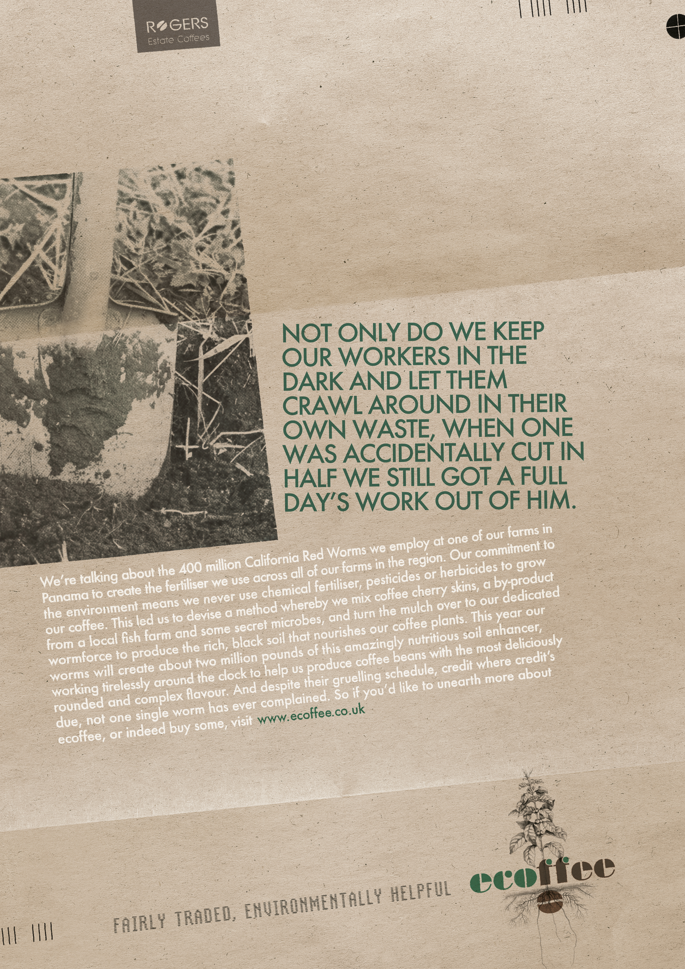 Worms - ecoffee.jpg