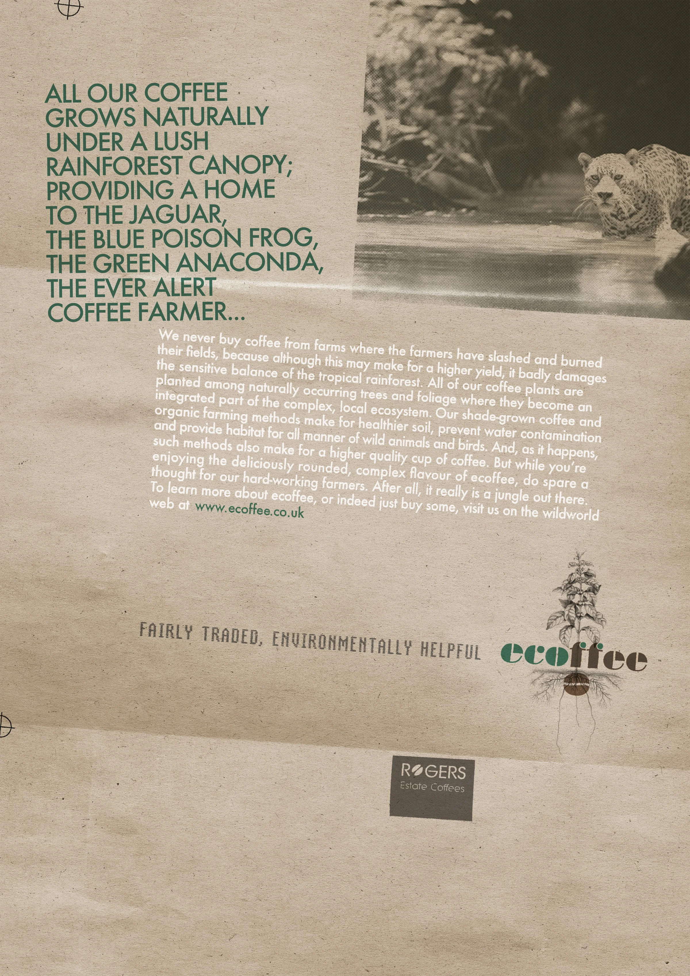 Jaguar - ecoffee.jpg