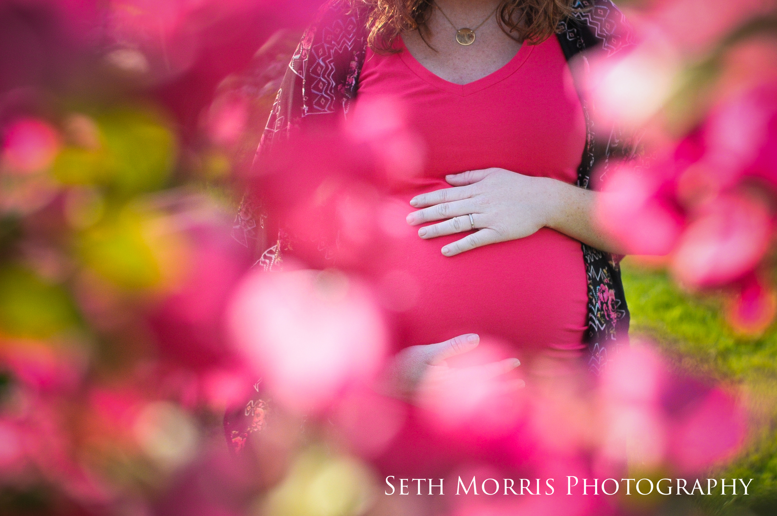 galesburg-maternity-pictures-1.JPG