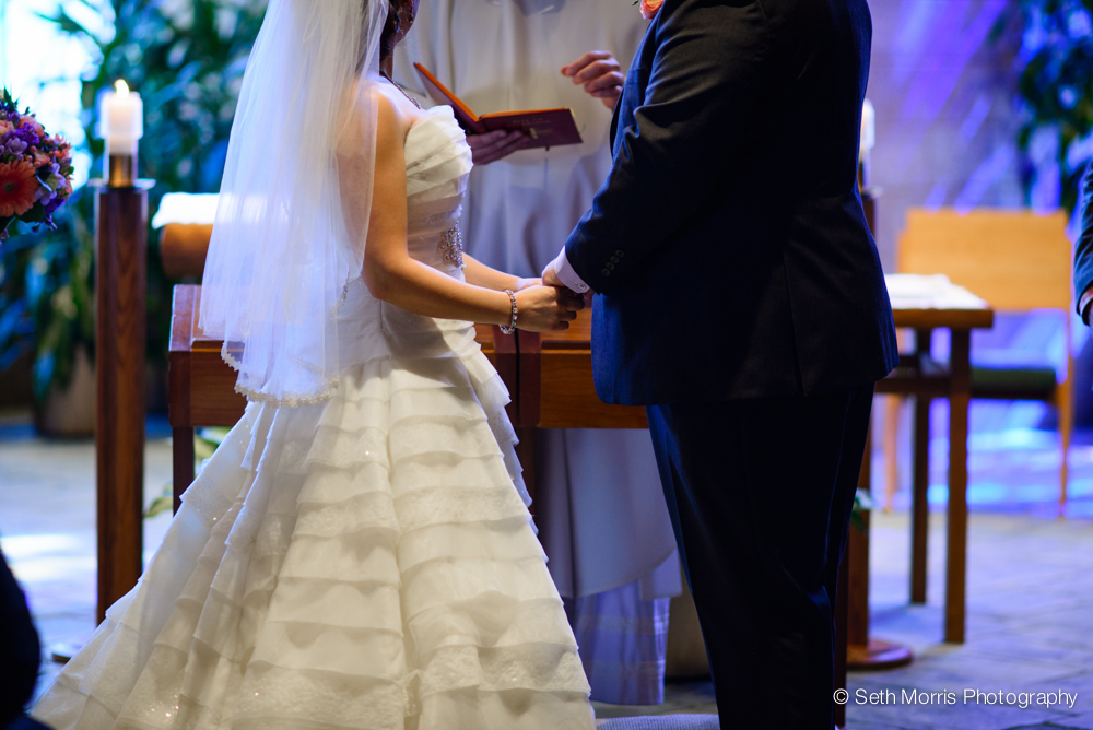 starved-rock-wedding-photographer-st-charles-wedding-19.jpg