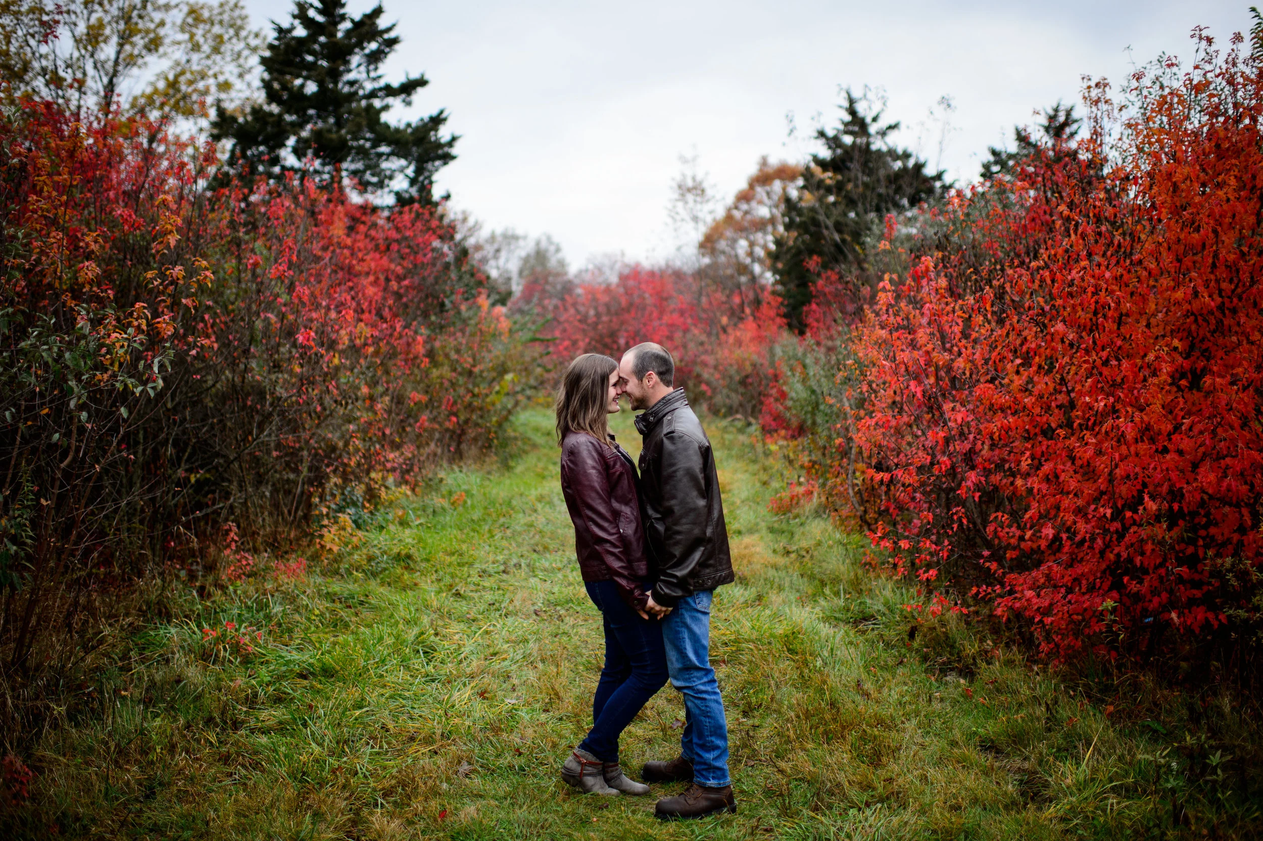 beaumeghanengagement-126.jpg