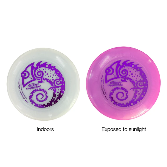 2026 - Disc - Purple 2.png