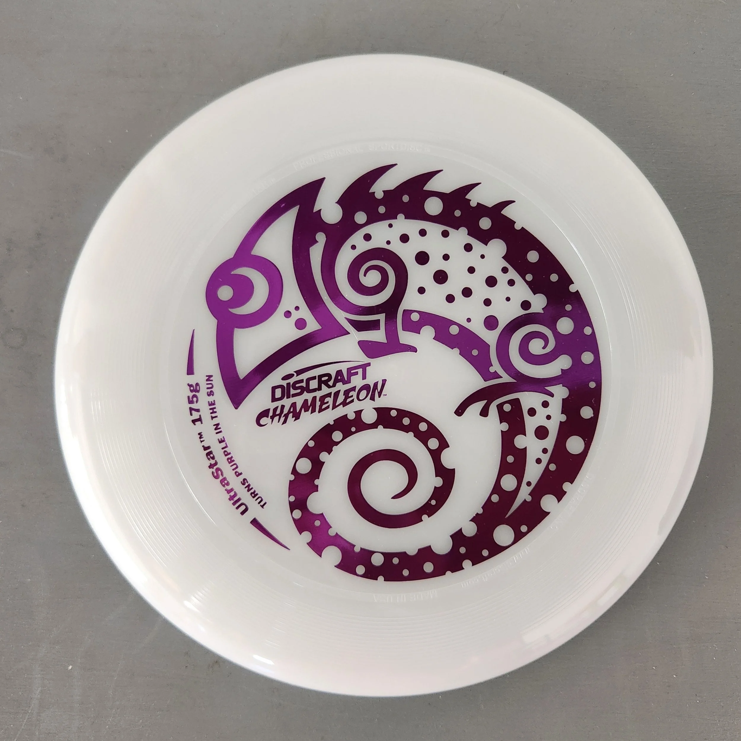 2026 - Disc  - Purple.jpg