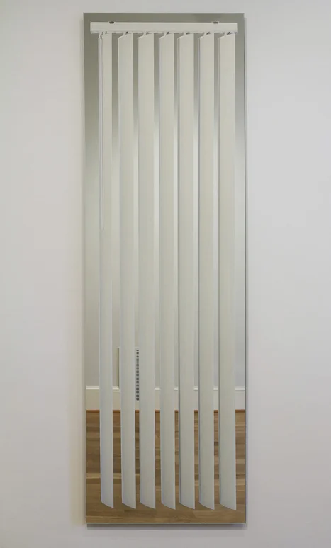 Window_E_Vertical_Blinds_on_Mirror_2012.jpg