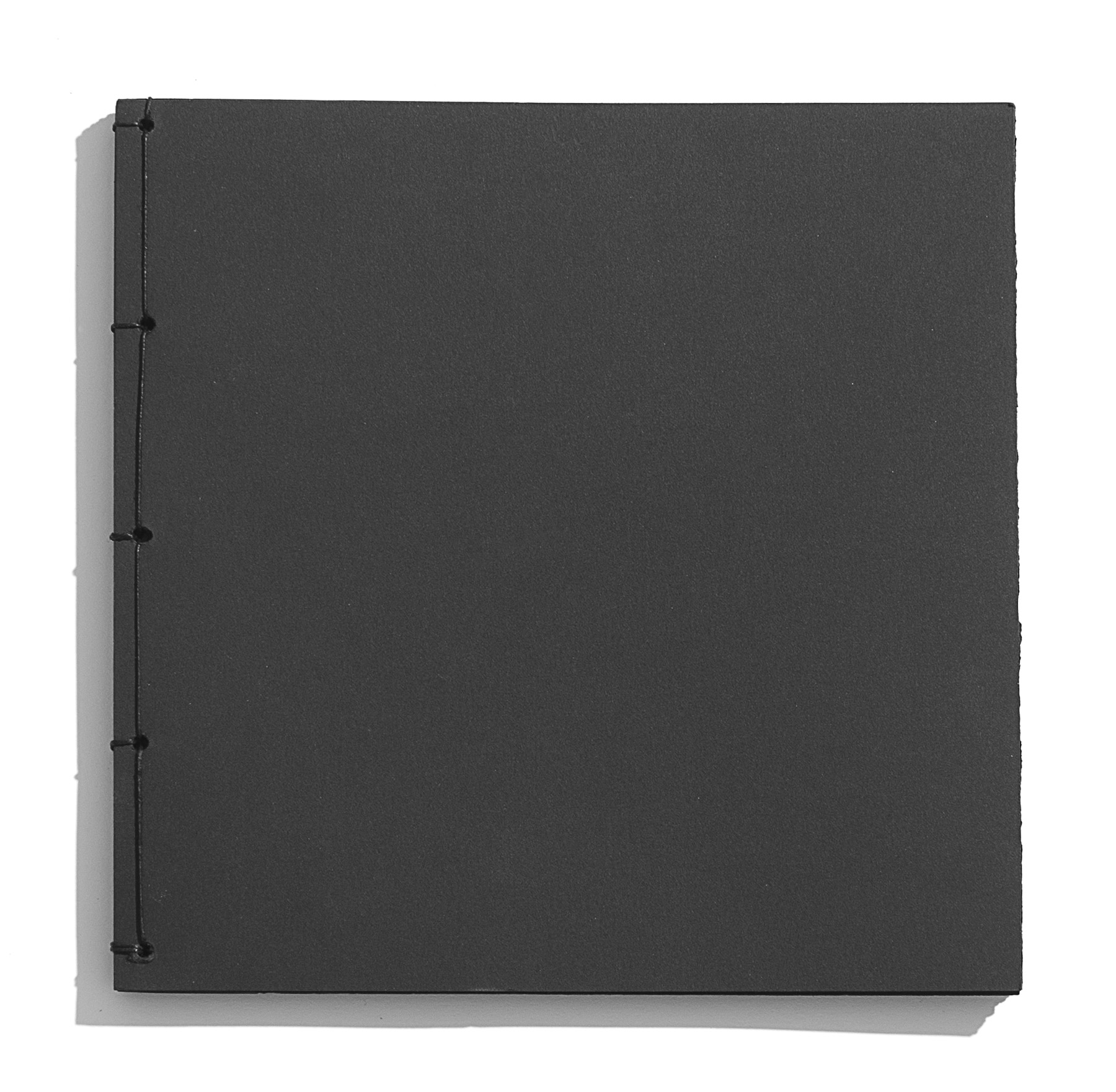 project 2 cover.jpg