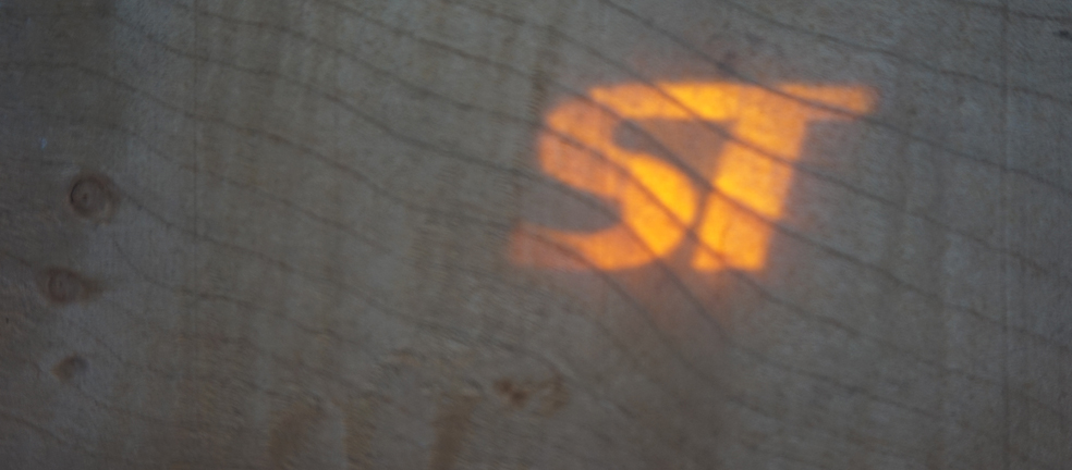 pricklysauce veneer logo - On