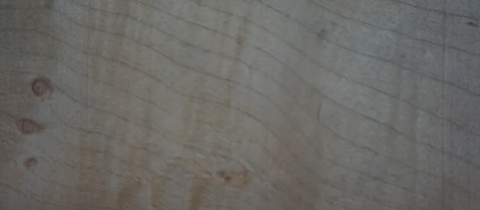 pricklysauce veneer logo - Off