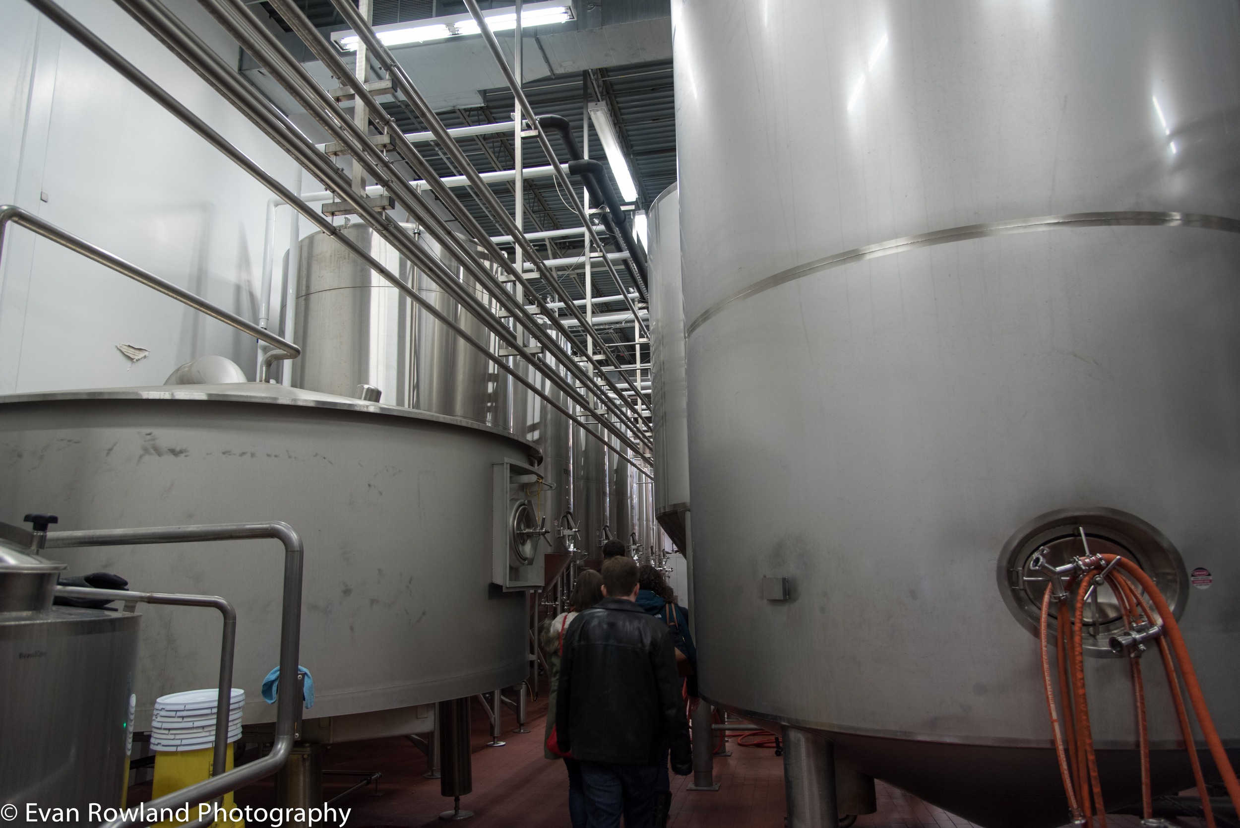 whirlpool and fermenters